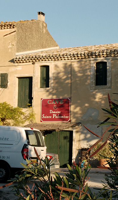 Producteur de vins